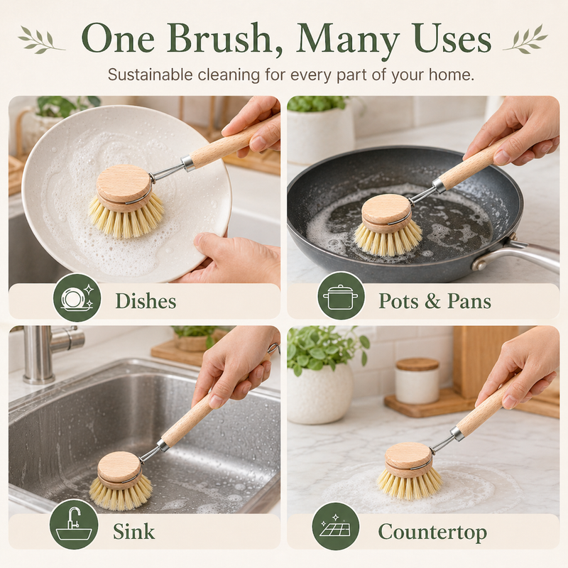 Beechwood scrub brush used on dishes, pots and pans, sinks, and countertops