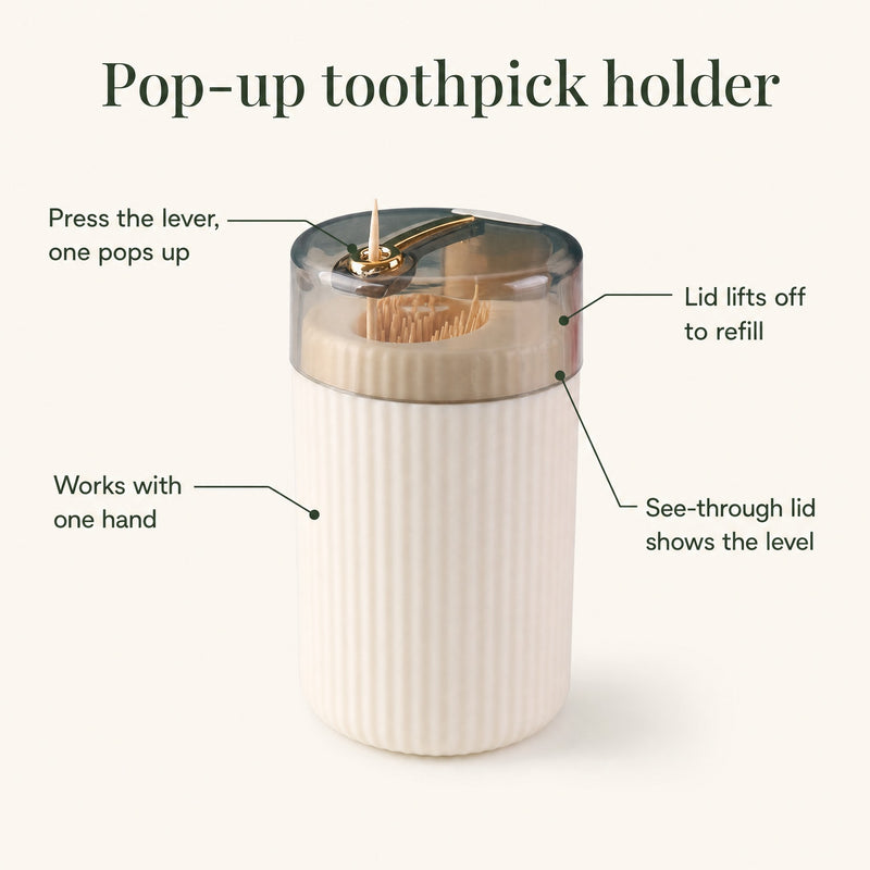 Toothpick holder — feature callouts for the one-press lever, lift-off lid and ribbed base